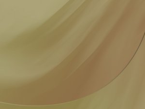 服务全方位解析